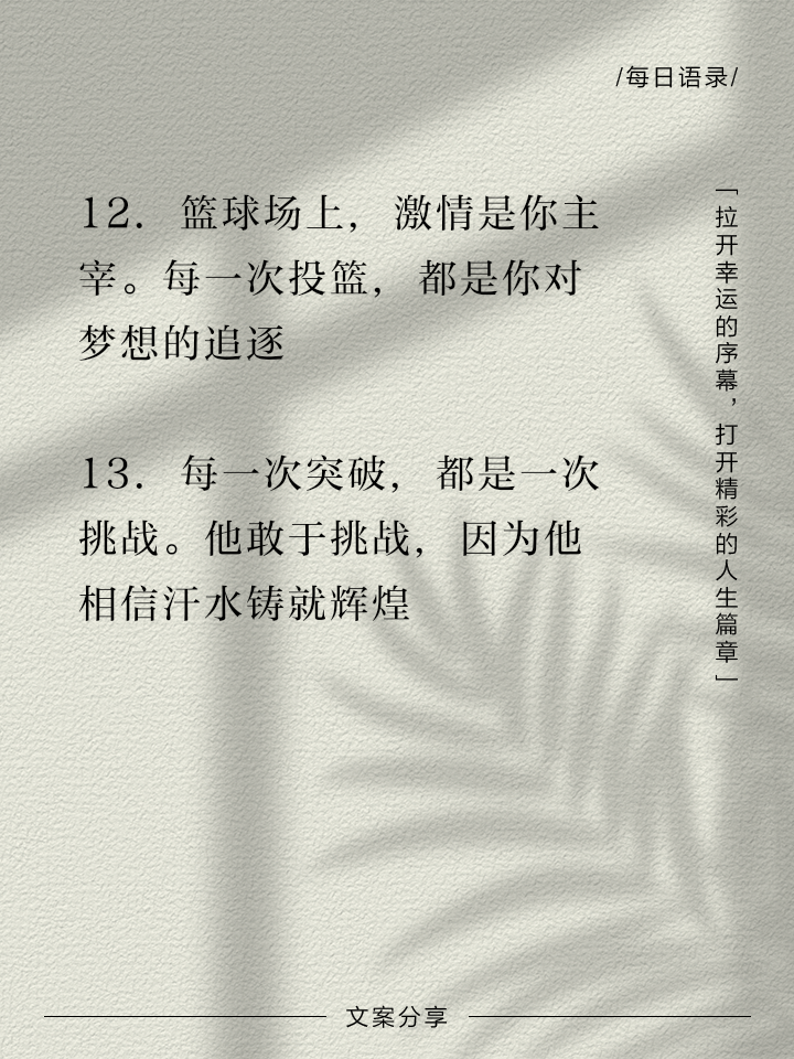 关于篮球生涯点滴，球星励志故事感人至深的信息